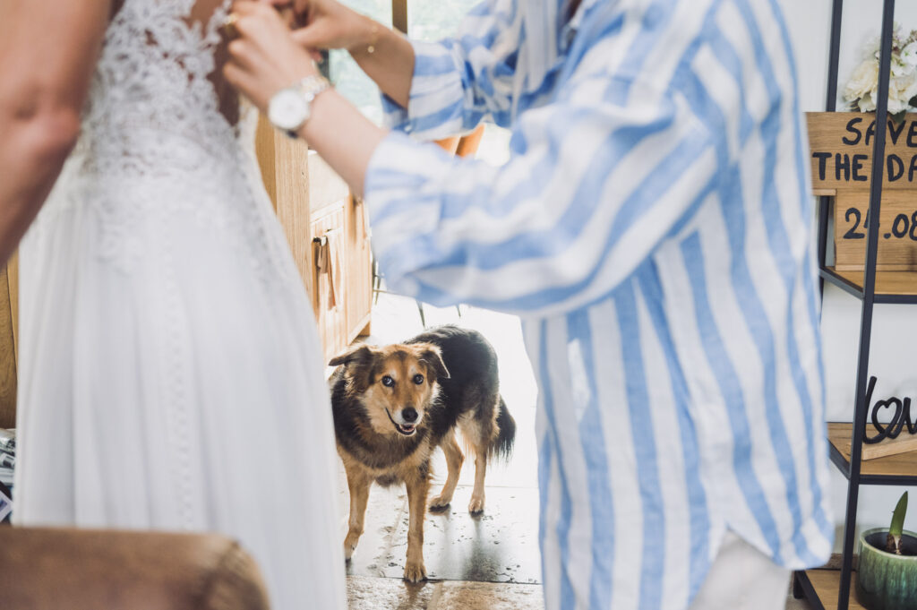 Honden op jullie huwelijk
