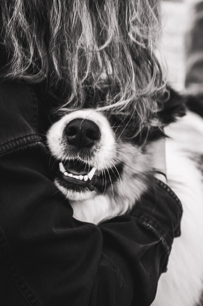 Hond op trouwfeest