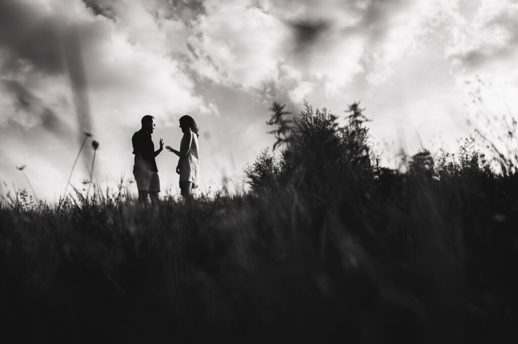Dromerig beeld landschap en koppel zwartwit
