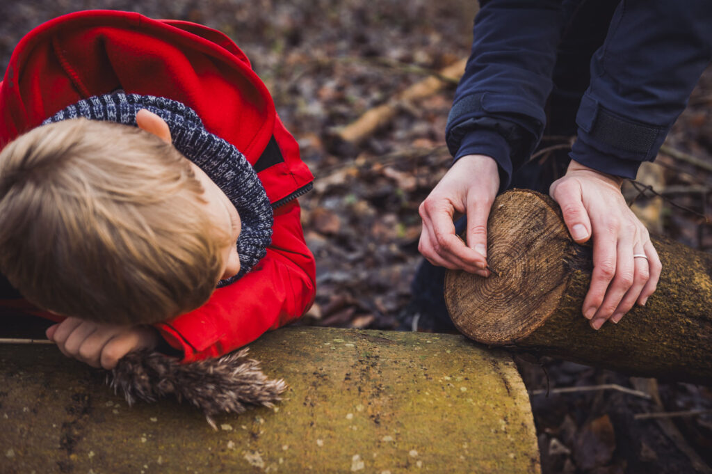 Leeftijd van de boom tellen op fotoreportage