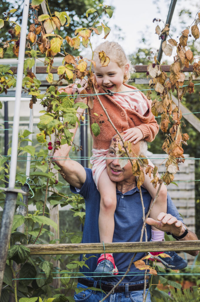 Samen bessen plukken in de tuin oma & opa